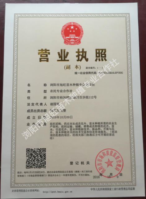 旭旺苗木合作社執照.jpg